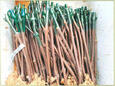 Oqema PROAGRIWAX G-MEDITERRANEAN product image 