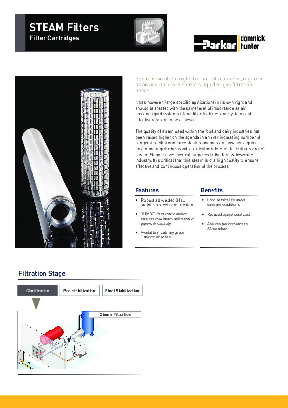DS_FBG_19_06_12_REV1A_STEAM.pdf