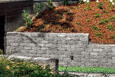 frühwald Petra product image