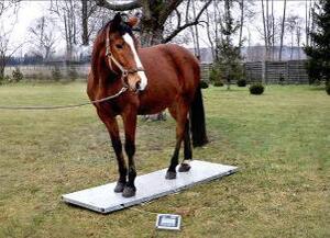 Lapmérleg ajánlatkérés