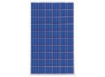 Canadian Solar Quartech product image 1
