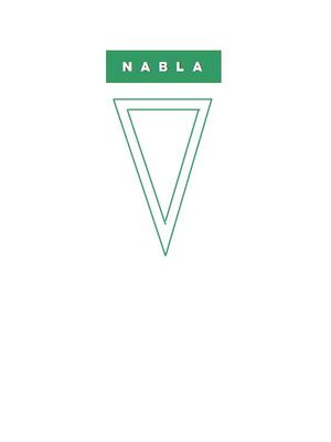 Nabla AMIN 80-50-250 product image 1