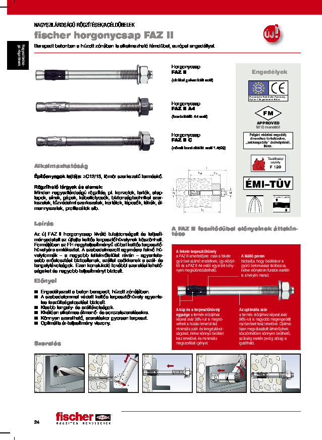 FAZ_II.pdf