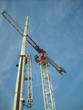 TDH CTT-231-12.0 product image