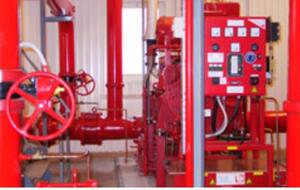 Dunamenti Tűzőr Komplex szolgáltatás product image 1