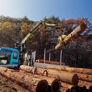 Loglift 61Z product image 1
