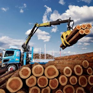 Loglift 82Z product image 1