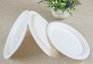  Cukornád papírtányér, Cikkszám: 12658 product image 1