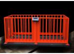 Metripond M93 PRM-A product image 1