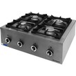 GastroPont  product image 1
