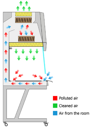 Alpina Biohazard Class II fülke BIO 160 A2 product image 2