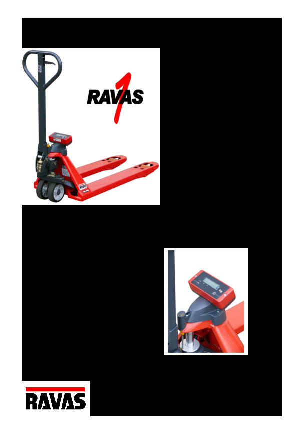 RAVAS1 datasheet