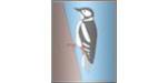 Woodpecker Software Kft. logo