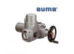 AUMA Elektromos forgatóhajtóművek, hajtás product image 1