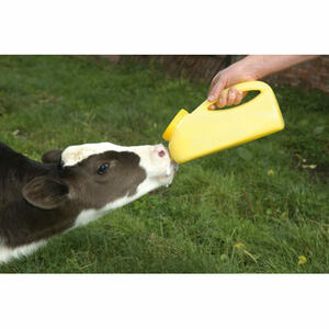 MilkBar Kolosztrum itató edény cumival product image 1