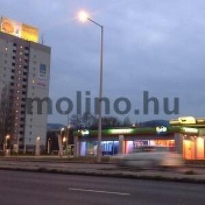 Molino Kft.  product image 2