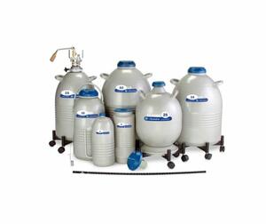  LD dewar család product image 1