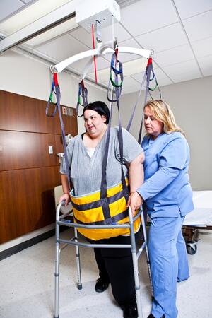 Guldmann CROSS HANGER 250 KG product image 2