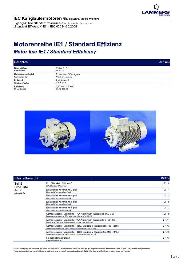 lammers-7aa-es-14bg-ie1_2013.pdf