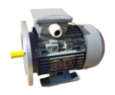 Lammers 12AA, 12BA villanymotor product image