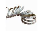 LEDNext   product image 1