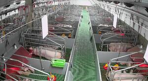 Agrotech-komfort Okos infralámpa product image 2