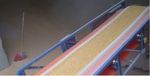 Alex Kft. T-206 product image 1
