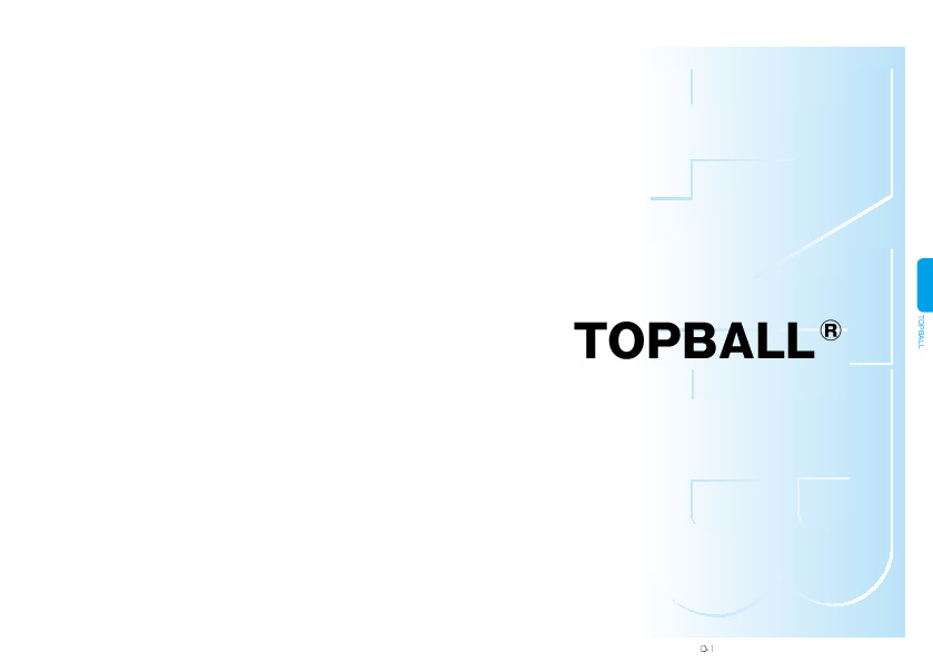 Nippon Bearing golyós hüvely TOPBALL