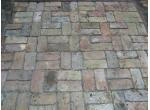 Művészkert   product image 1