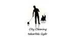 smallc_citycleaning