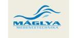 MÁGLYA KFT logo