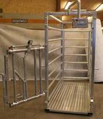 Tenzona Szarvasmarha product image