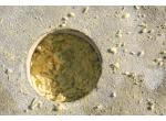Kimmel Insulation Kft Hőszigetelő fújható kőzetgyapot product image 2