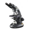 BEL BIO2 product image