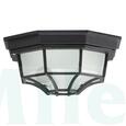 Milano RÁBALUX 1x 100W 230V E27 IP43 product image