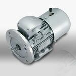 Motive Fékes villanymotor product image