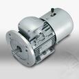 Motive Fékes villanymotor product image