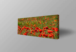 Digitális nyomtatás ajánlatkérés