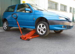 Cattini Yak 13/ql product image 2