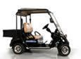 BirdieCar BC2028H product image