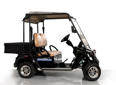 BirdieCar BC2028HR product image 1