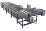 Ab REX  product image 1