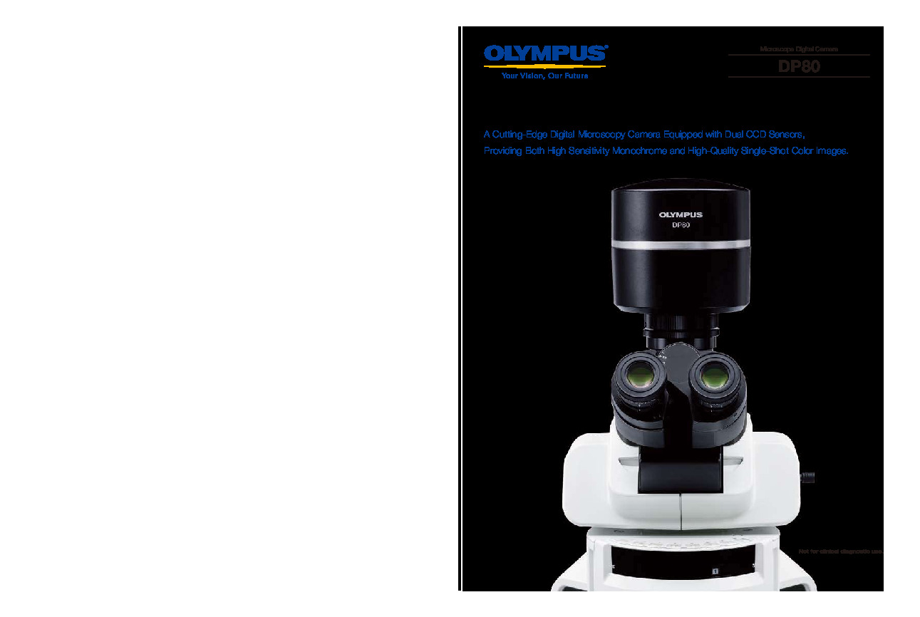 dp80-all-en.pdf