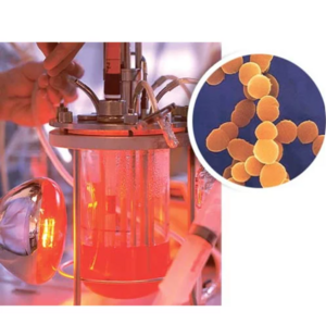 Reagens ajánlatkérés