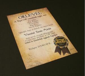 Oklevél nyomtatás ajánlatkérés