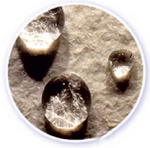 Zephron Vegyi kezelésű tűnemez product image