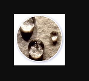 Zephron Vegyi kezelésű tűnemez product image 1