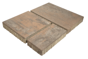 Terrán Shadow First Giant product image 1