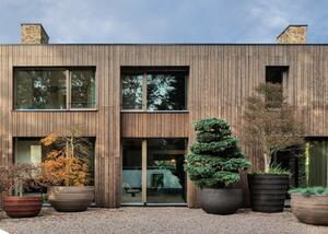 Introwood Bamboo X-treme product image 1