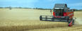 Massey Ferguson ACTIVA 7340 product image 2